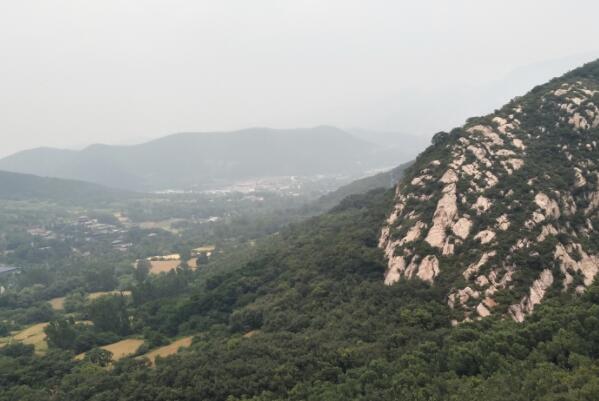 河南银杏美景旅游哪里最美-河南赏银杏树最佳地点-河南看银杏树的好地方有哪些