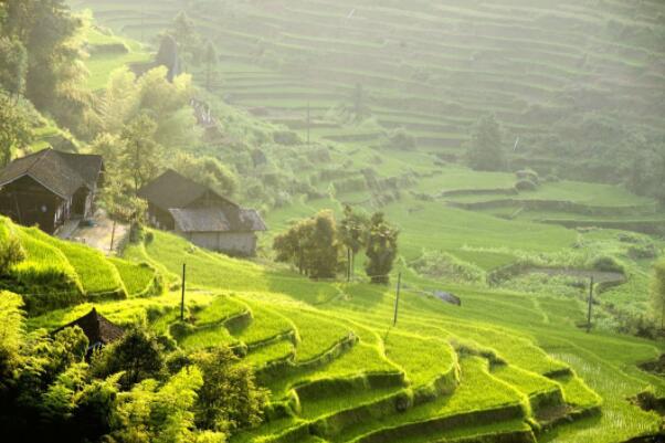 中国有哪些风景优美的景区-中国十大最美的国家级风景名胜区-中国风景优美的景点有哪些