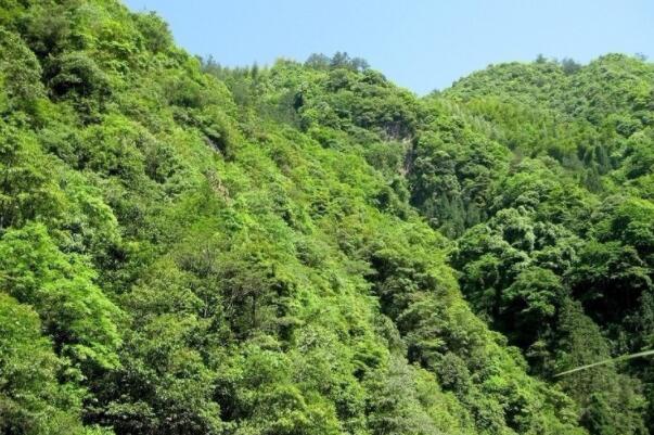 台湾有哪些景点著名的景点-台湾十大最值得去的景点-台湾的著名景点有哪些地方