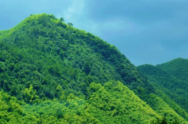 浙江第一高峰在哪里-浙江十大最高山峰-浙江最有名的山峰是什么山