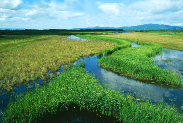 三江平原湿地上榜(三条江流汇聚)-中国十大最著名的国家级湿地公园