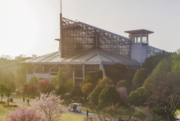 上海植物园上榜(五星级公园)-上海十大秋季旅游好去处