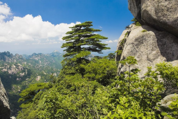 黄山上榜(天下第一奇山)-安徽十大适合毕业旅游的地方