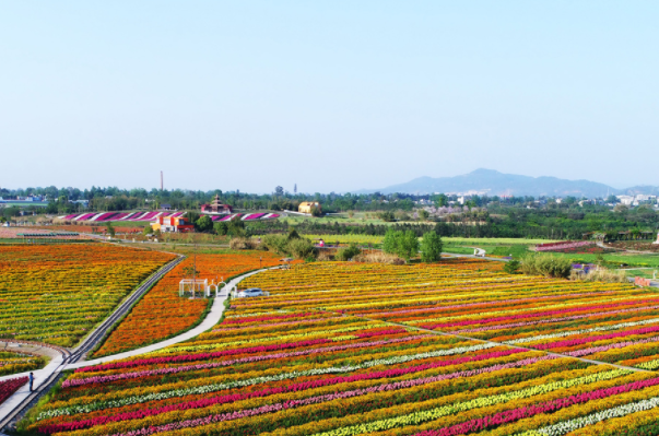 宽窄巷子上榜(知名小吃街)-成都春节旅游十大好玩景点