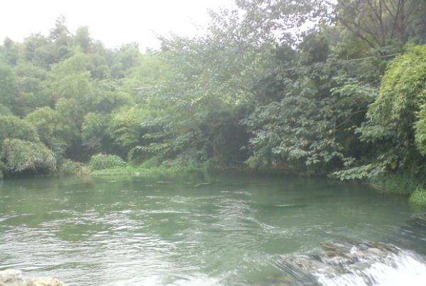 杭州植物园上榜(植物引种驯化的科研机构)-杭州十大冬季旅游好去处