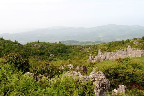 摩围山上榜(留下咏叹其美的诗句)-重庆十大冬季旅游好去处