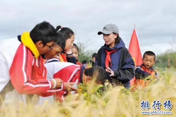 日喀则市一小上榜(市重点)-日喀则市十大小学排名一览表