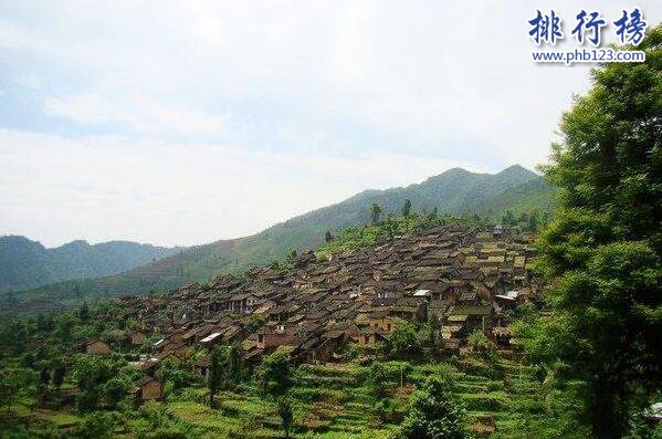 连南瑶山茶上榜(瑶族特有的茶叶)-广东十大名茶