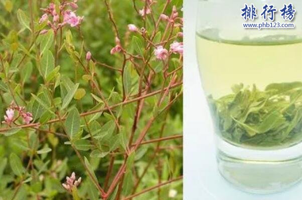 罗布麻茶(平肝安神)-新疆十大名茶