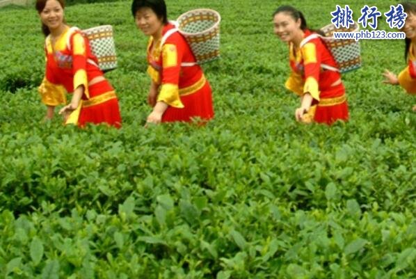 庐山云雾茶上榜(宋代贡茶)-江西十大名茶