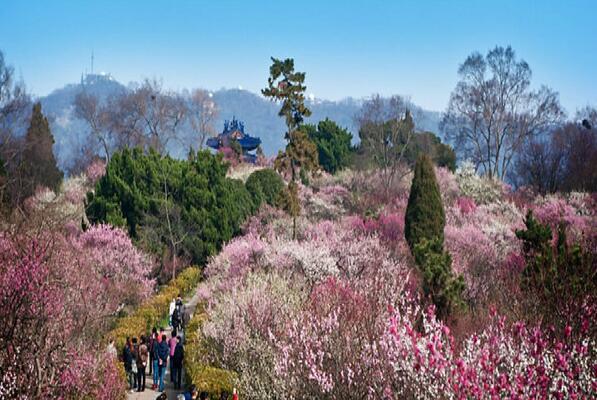 南京好玩的自然景点-南京十大自然风景排名-南京自然风景好的地方