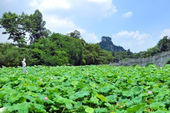 柳州一日游攻略必去景点-柳州一日游最佳景点推荐-柳州必玩的地方有哪些