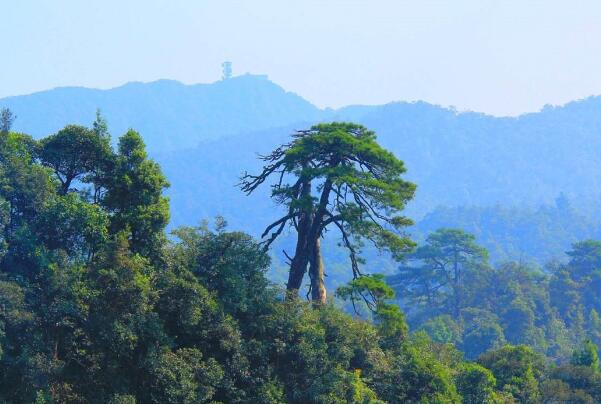 广西冬天适合旅游的地方-广西适合冬天玩的地方-广西冬天好玩的地方有哪些