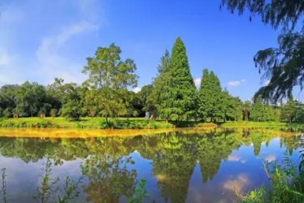 南宁那马镇有什么风景区-南宁那马镇的旅游景点-那马镇旅游景点攻略