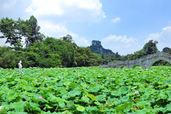 柳州适合春游的地方-柳州十大春季旅游景点-柳州今年春季哪里玩