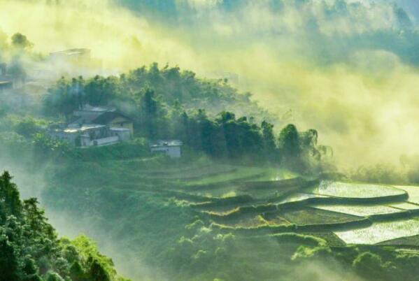 广西梧州苍梧景点-梧州苍梧县旅游景点大全-梧州苍梧县有什么好玩的地方