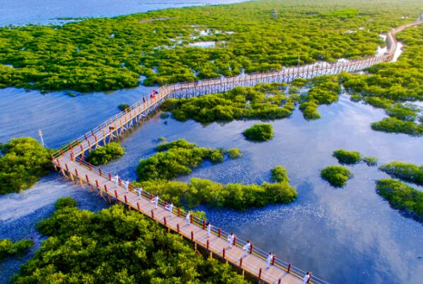 北海热门的十大景点有哪些-北海人气最旺的十大景点-北海热门旅游景点