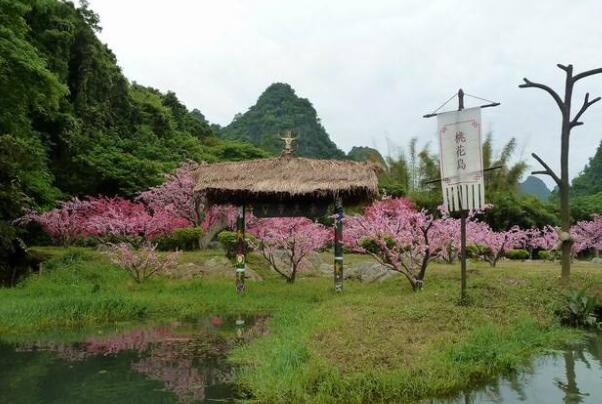 浙江哪里有花海-浙江最美赏花胜地排名榜前十名-浙江赏花好去处