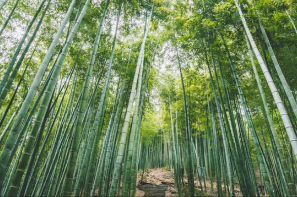 杭州周边一日游必玩景点-杭州周边一日游最佳景点-杭州周边自驾一日游景点大全