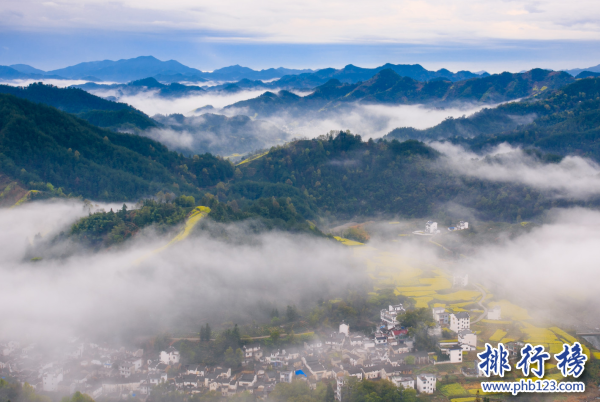 宁夏最值得去的赏花景点-宁夏十大赏花胜地-宁夏赏花的地方有哪些