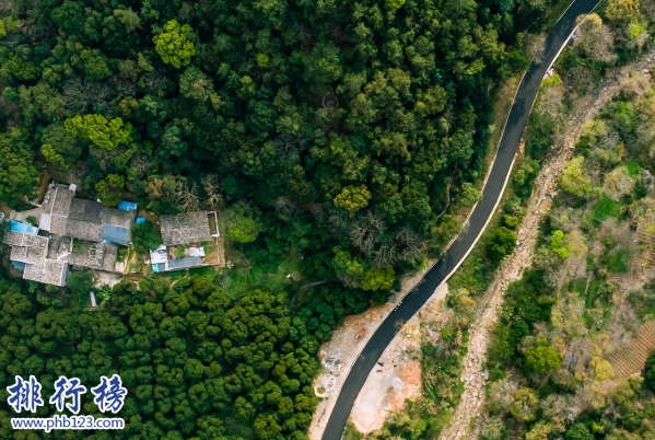 福建看花的旅游景点-福建十大赏花胜地-福建哪里可以看花海