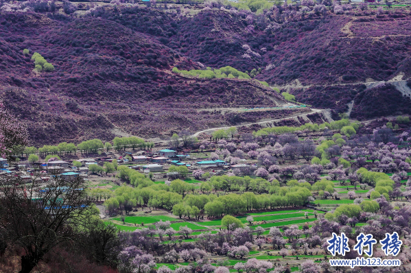 中国赏桃花最佳的地方-中国十大桃花观赏地-国内桃花哪里最美