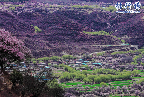 西藏十大适合春季旅游的地方-西藏十大春季旅游景区-西藏春天最美的地方在哪里