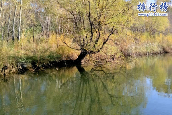 黑龙江春季旅游最佳去处-黑龙江十大踏青好去处-黑龙江踏青景点有哪些