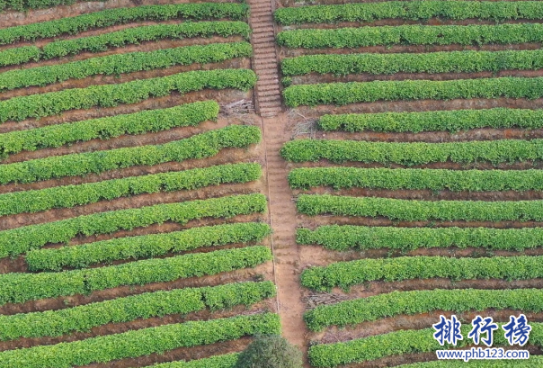 广东4月旅游的最佳地点-广东4月旅游景点排名表-4月份广东哪里好玩