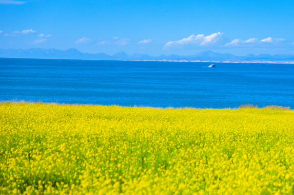 青海十大端午节旅游景点-青海端午旅游景点推荐排行榜-青海端午节去哪里玩