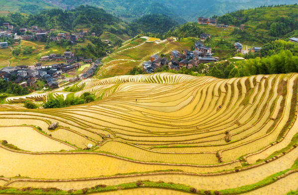 湖南周边旅游十大必去景区-湖南周边旅游景点排行榜前十名-湖南周边旅游哪里好玩