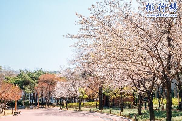 韩国大邱景点有哪些-韩国大邱景点排行榜前十名-大邱景点排行榜