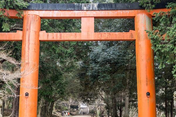 秋天日本必去景点有哪些-秋天日本必去十大景点排名-日本秋天好玩的地方排行榜