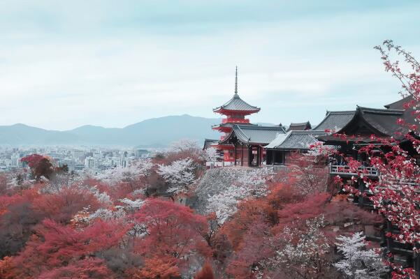 春天日本必去景点有哪些-春天日本必去十大景点排名-日本春天好玩的地方排行榜