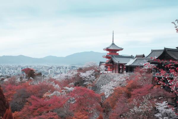 日本适合穷游的城市有哪些-日本穷游城市排行榜-日本适合穷游城市排行