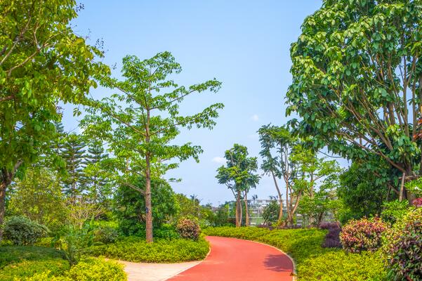 鹤岗五一必去景点有哪些-鹤岗市五一旅游必去十大景点-鹤岗好玩地方排行