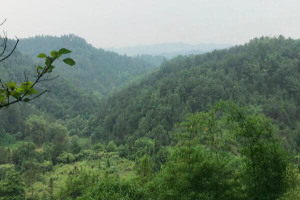 自贡五一必去景点有哪些-自贡市五一旅游必去十大景点-自贡好玩地方排行