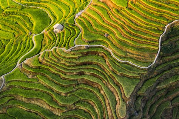 丽水五一必去景点有哪些-丽水市五一旅游必去十大景点-丽水好玩地方排行