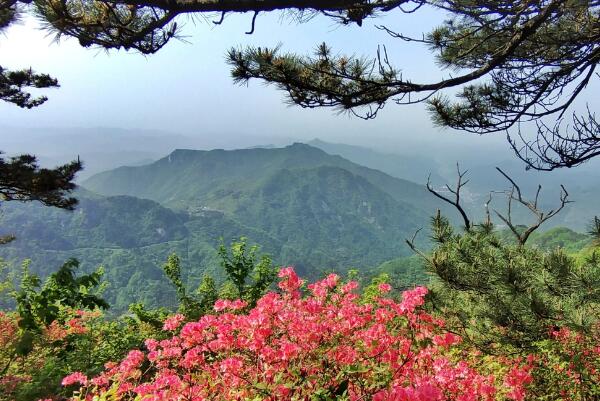 麻城五一必去景点有哪些-麻城市五一旅游必去十大景点-麻城好玩地方排行