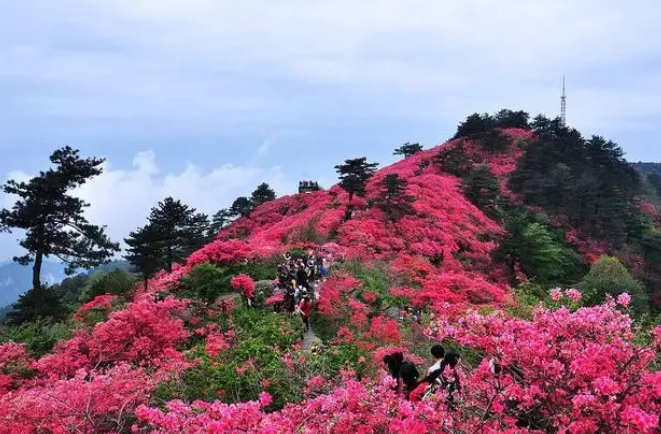 湖北游玩攻略必去的地方-湖北著名自然景点排名前十-湖北的旅游景点有哪些