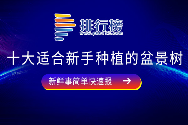 十大适合新手种植的盆景树：红豆杉上榜，第六还可以净化空气