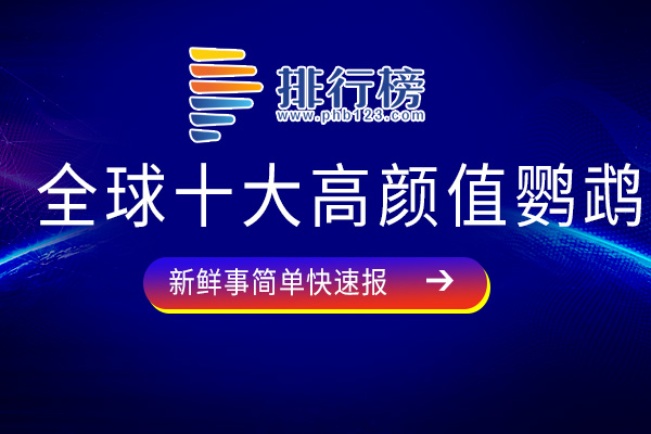 全球十大高颜值鹦鹉：虎皮鹦鹉上榜，你最喜欢哪只