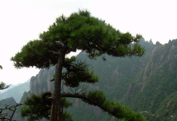 江西避寒小镇-江西避寒必去十大景点-江西避寒必去十大景点有哪些