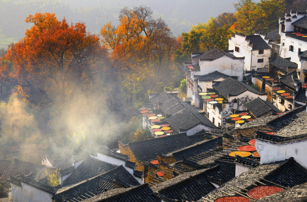 江西省婺源旅游景点-婺源必去的三个景点-江西婺源旅游胜地有哪些