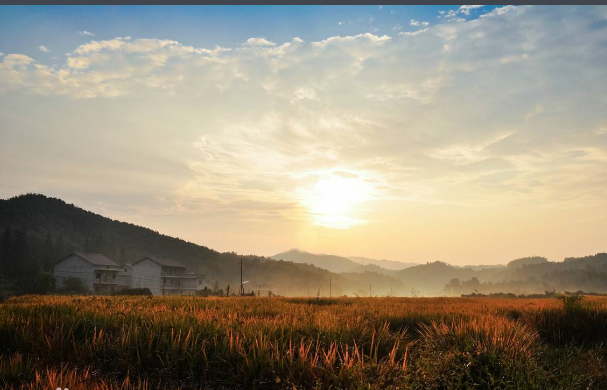 鹰潭乡村旅游-鹰潭乡村旅游景点大全-鹰潭有什么好玩的乡村吗