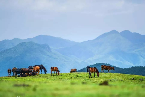 湖南冷门景点排名榜-湖南冷门但很美的地方-湖南有什么冷门景点好玩