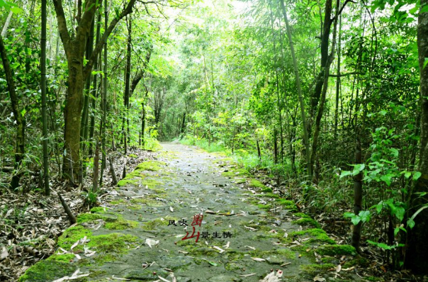 湖南周边小众景点排名榜-湖南周边小众旅游景点-湖南附近小众景点有哪些地方