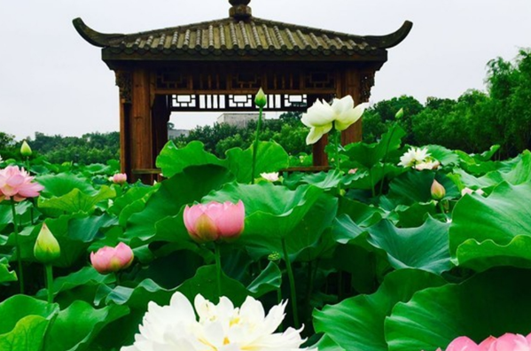 湘潭旅游必去十大景点-湘潭人气最旺的十大景点-湘潭最著名的景点有哪些