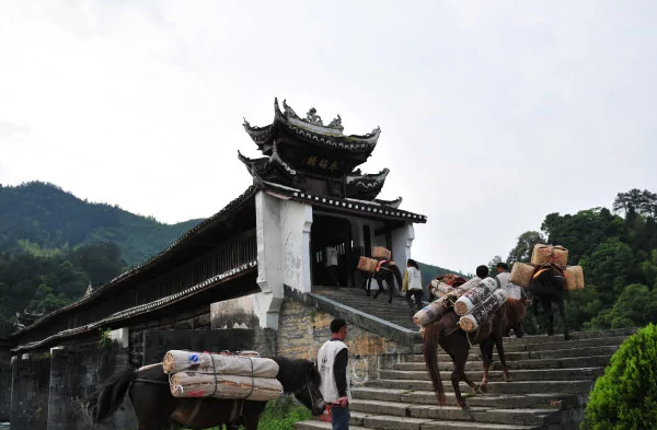 益阳必玩的景区排名榜-湖南益阳旅游十大必去景区-益阳必玩的景区有哪些