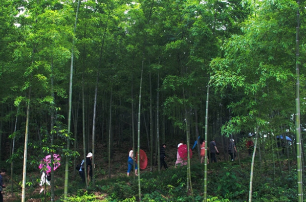 益阳亲子游玩景点-益阳适合亲子游的地方-益阳亲子游玩景点有哪些